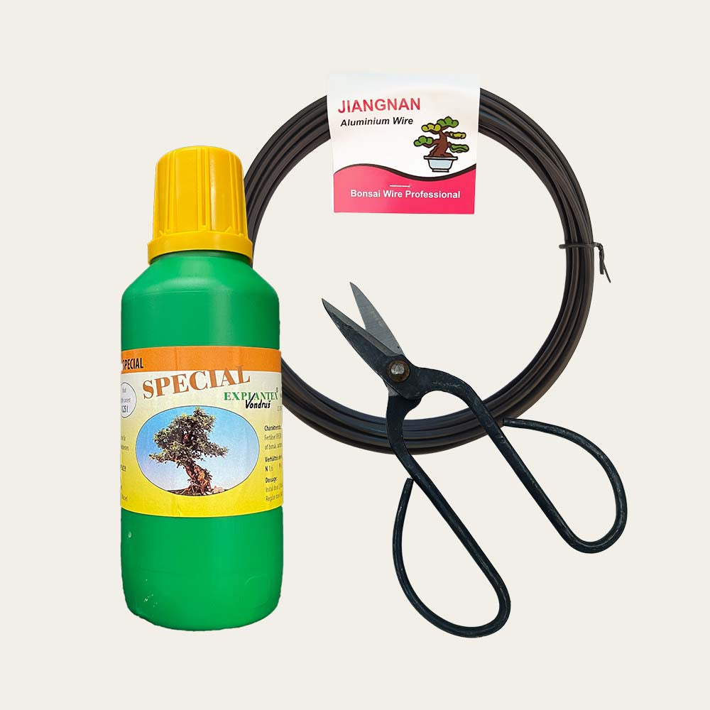 Kit di cura