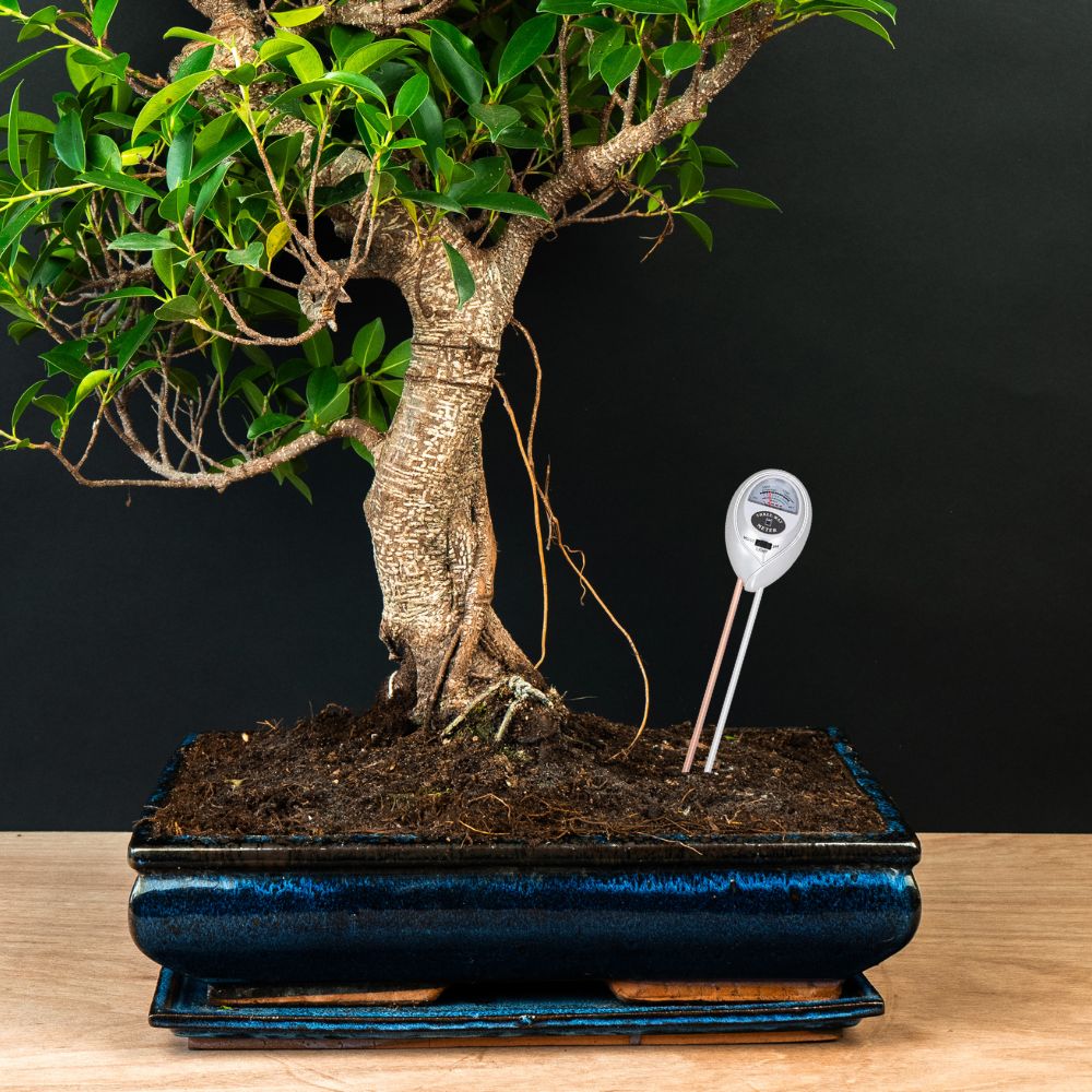 Misuratore del terreno 3 in 1