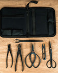 Set di forbici e pinze