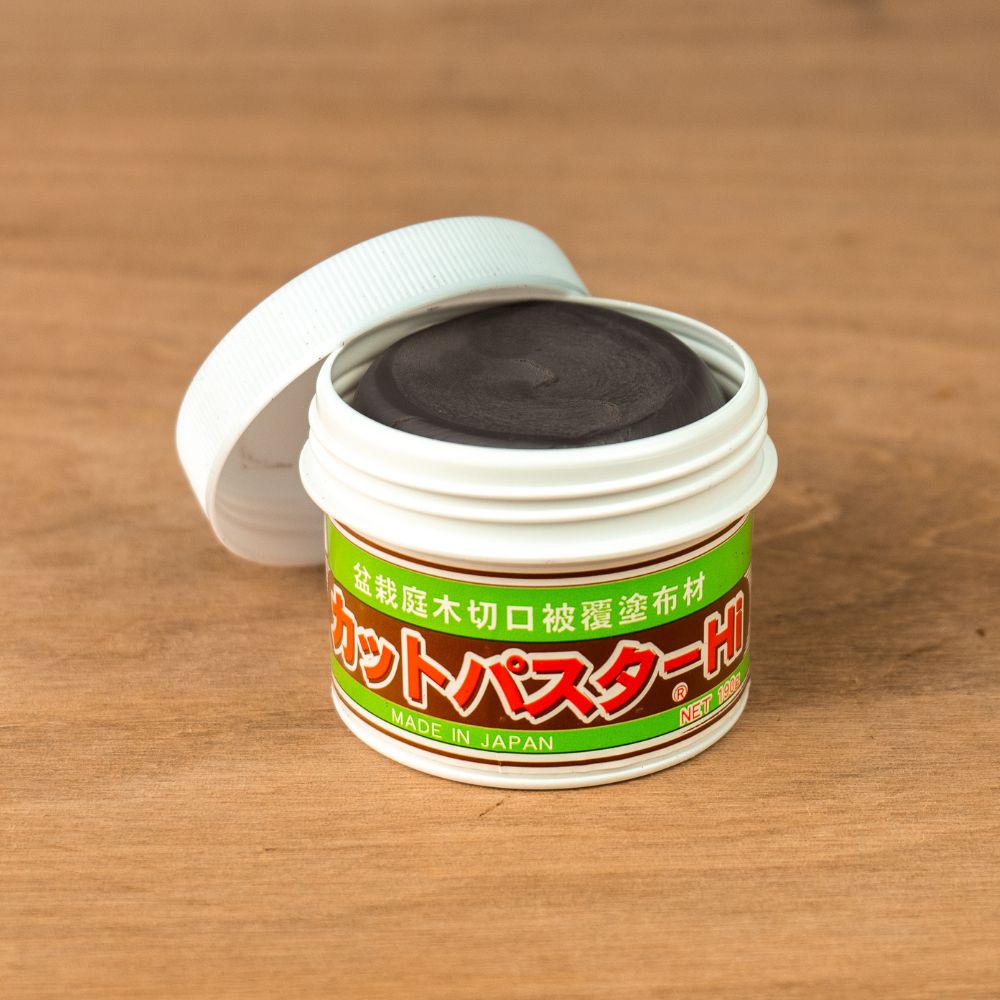 Pasta per ferite da bonsai (per alberi decidui)